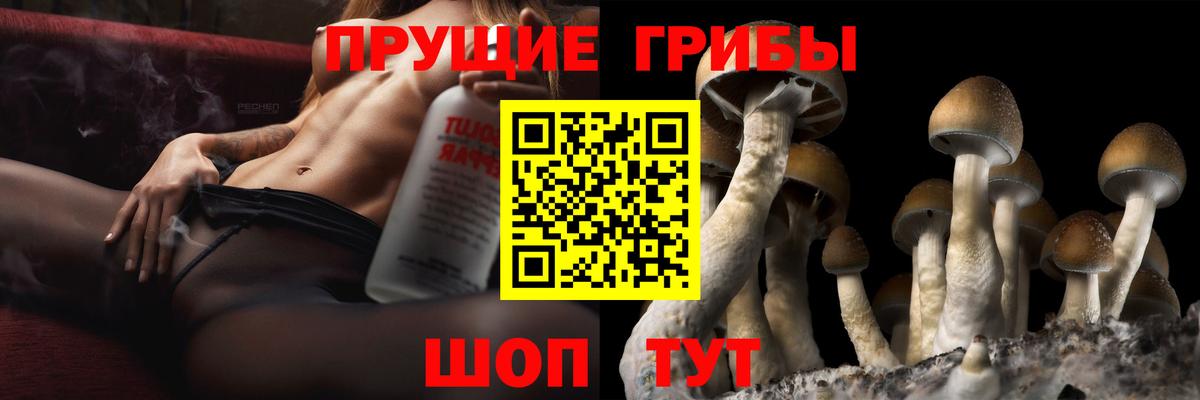 Псилоцибиновые грибы ЛСД Курган